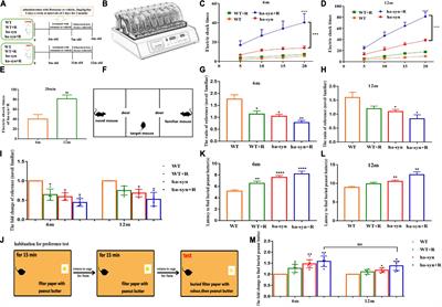 Rotenone aggravates PD-like pathology in A53T mutant human α-synuclein transgenic mice in an age-dependent manner